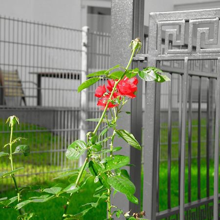 Gepflegtes Und Schoenes Ferienapartment Im Neubau Lubeck Ngoại thất bức ảnh